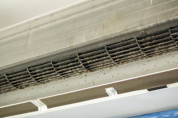 Best Dryer Vent Cleaning Services  in Silverton, OR